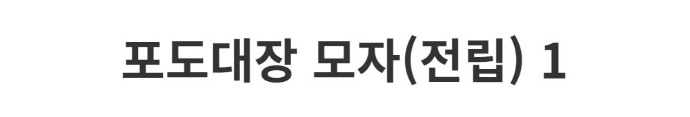 모자 -S1L2