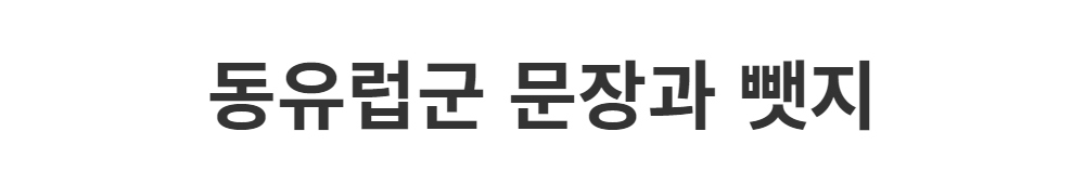 악세사리 -S1L1